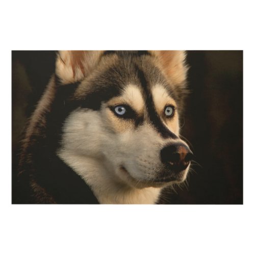 Beautiful Husky Throw Pillow Wood Wall Art