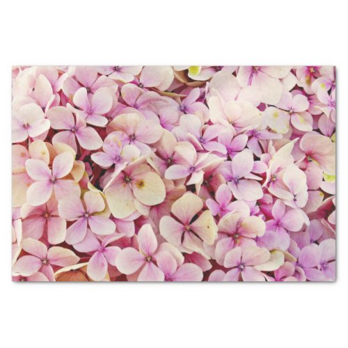 Beautiful Hydrangea Flowers Tissue Paper
