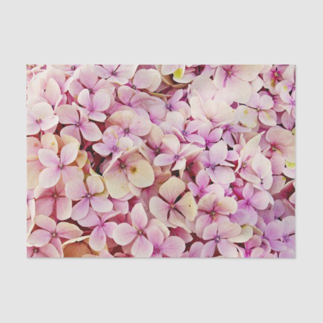 Beautiful Hydrangea Flowers Tissue Paper (Front)