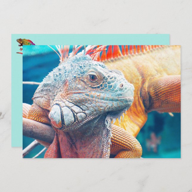 Beautiful iguana Flat Card (Front/Back)
