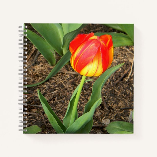 Beautiful in Spring.... Notebook (Front)