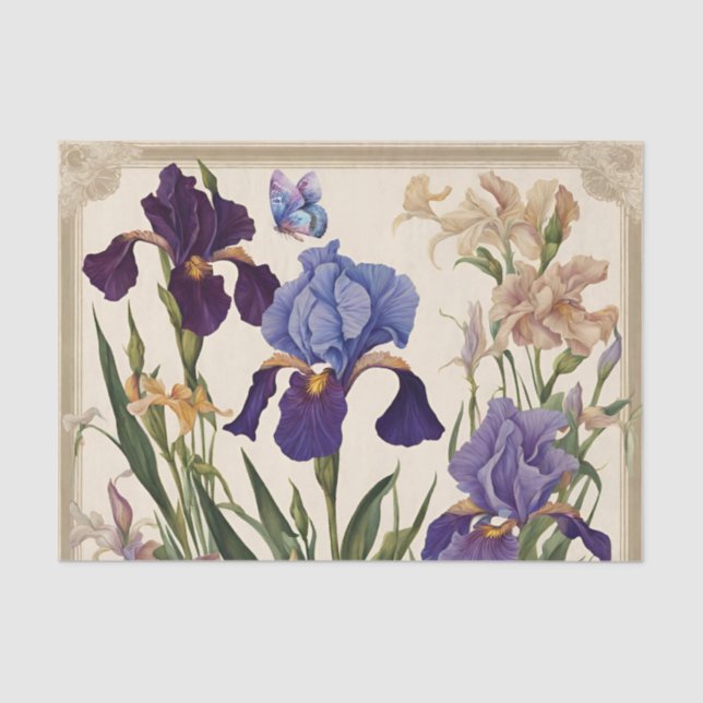 Beautiful Iris Flower Blooms  Tissue Paper (Front)