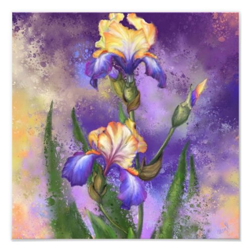 Beautiful Iris Flower _ Migned Art Painting Photo Print