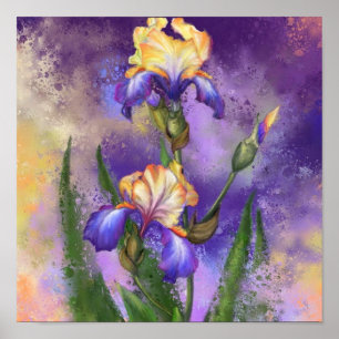 Beautiful Iris Flower - Migned Painting Art Poster