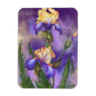 Beautiful Iris Flowers Magnet Irises Gift