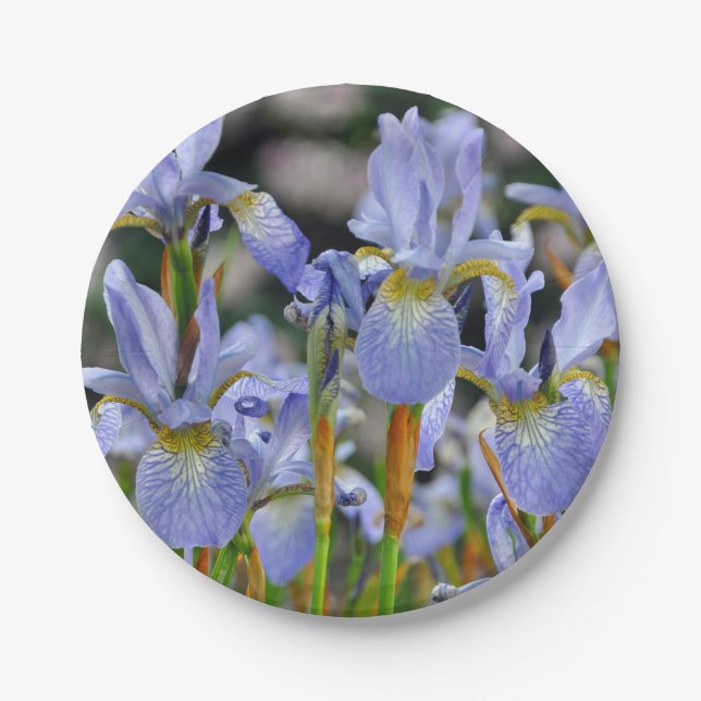 Beautiful iris flowers paper plates (Front)