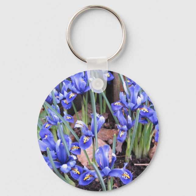 BEAUTIFUL IRIS KEYCHAIN (Front)
