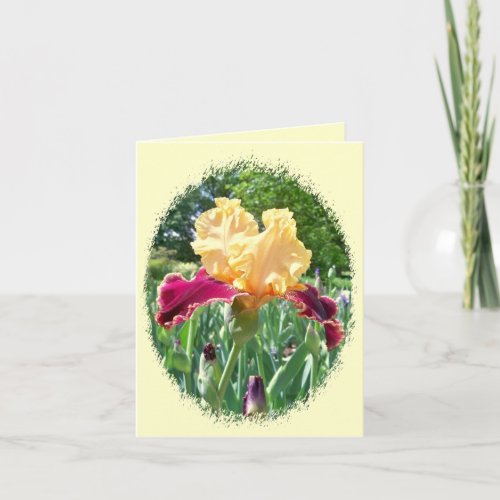 Beautiful Iris Notecard