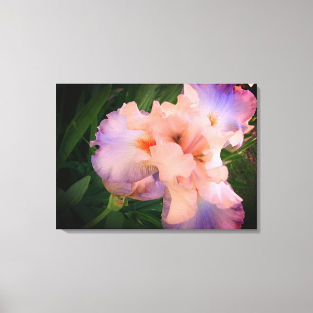 Beautiful Iris on canvas Print (Front)
