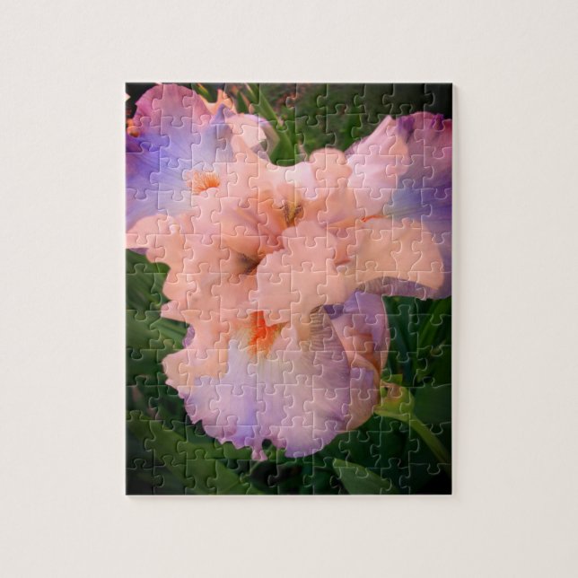 Beautiful Iris Puzzle (Vertical)