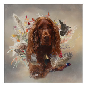 Beautiful Irish Red Setter Acrylic Print