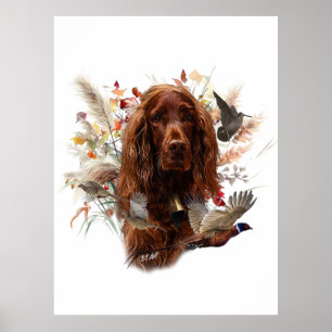 Beautiful Irish Red Setter Poster