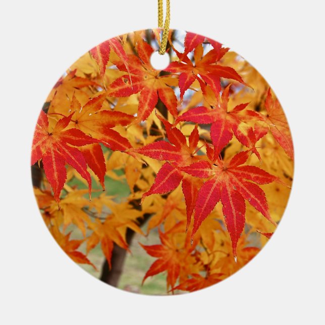 beautiful japanese maple tree in fall ceramic ornament (Front)