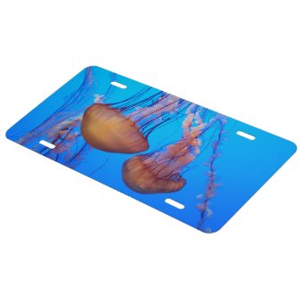 Beautiful Jellyfish Front License Plate | Zazzle