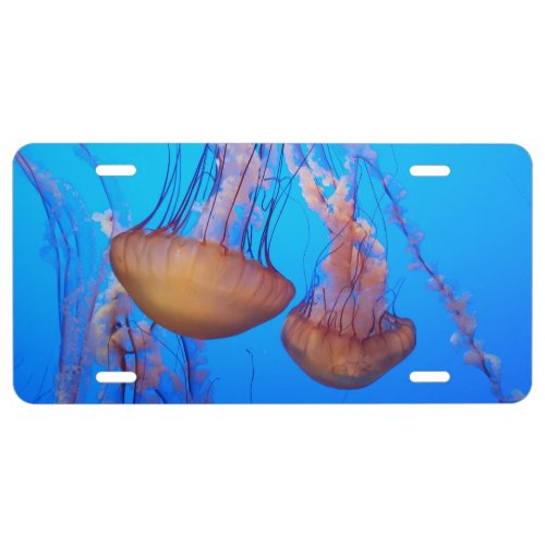 Beautiful Jellyfish Front License Plate