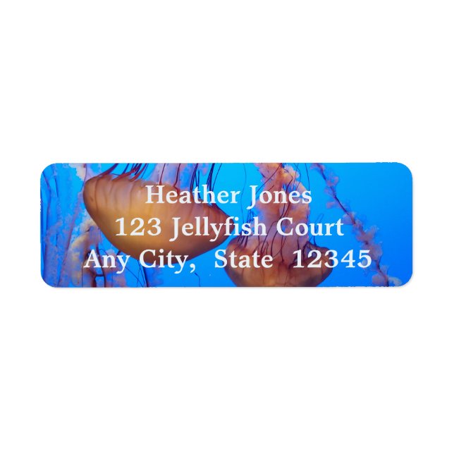 Beautiful Jellyfish Labels (Front)