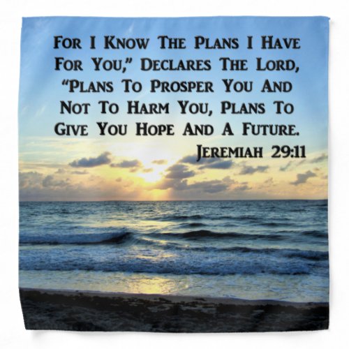 BEAUTIFUL JEREMIAH 2911 BLUE SKIES BANDANA