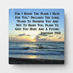 BEAUTIFUL JEREMIAH 29:11 BLUE SKIES PLAQUE