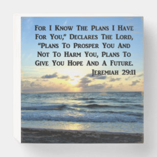 BEAUTIFUL JEREMIAH 29:11 BLUE SKIES WOODEN BOX SIGN