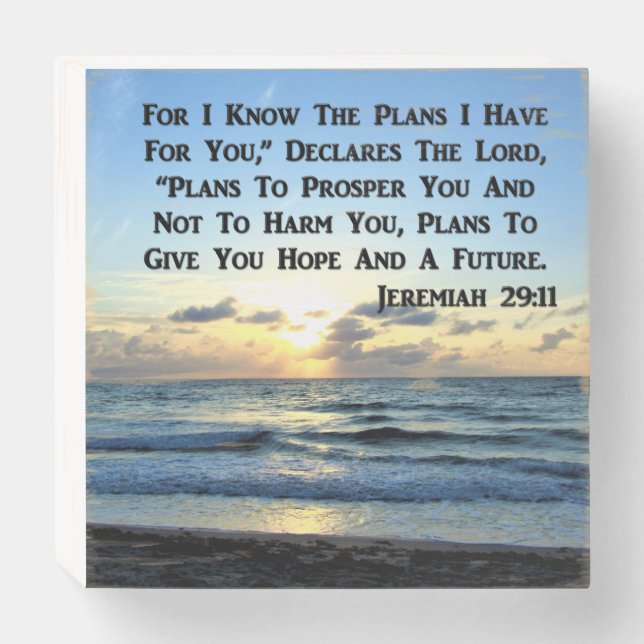 BEAUTIFUL JEREMIAH 29:11 BLUE SKIES WOODEN BOX SIGN (Front Horizontal)