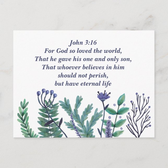 Beautiful John 3:16 Bible Verse Christian Holiday Postcard (Front)