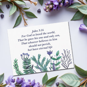 Beautiful John 3:16 Bible Verse Christian Holiday Postcard