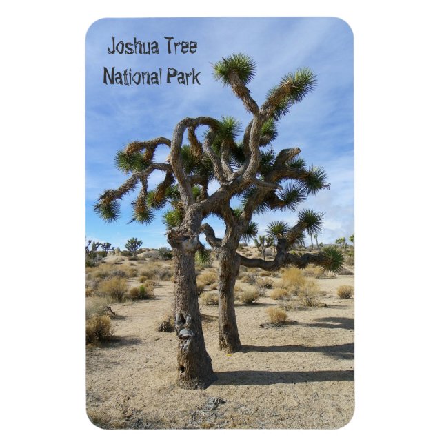 Beautiful Joshua Tree Premium Magnet! Magnet (Vertical)