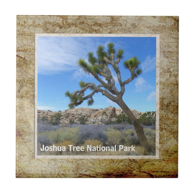 Beautiful Joshua Tree Tile! Tile (Front)
