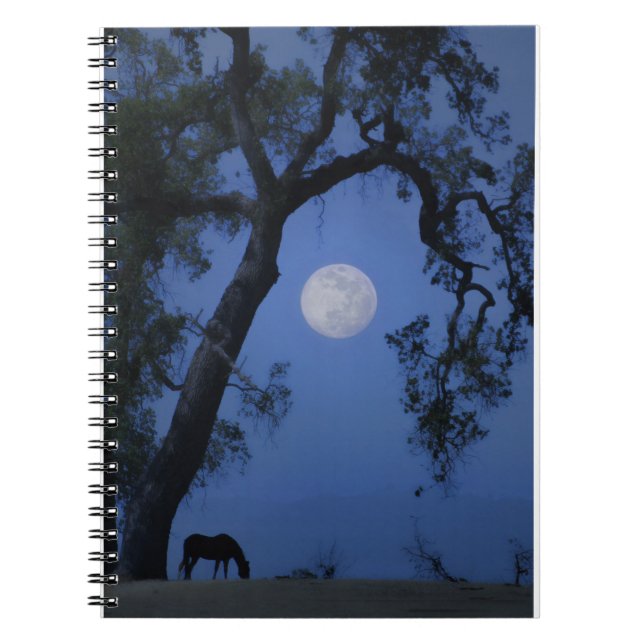 Beautiful Journaling Notebook Horse, Oak Tree Moon (Front)