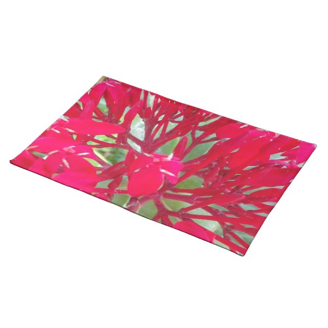 Beautiful Kaleidoscope of Colorful Red Milkweed  Placemat (On Table)