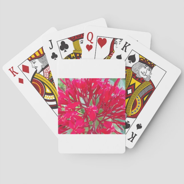 Beautiful Kaleidoscope of Colorful Red Milkweed  Poker Cards (Back)