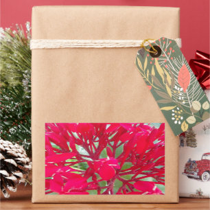 Beautiful Kaleidoscope of Colorful Red Milkweed  Rectangular Sticker