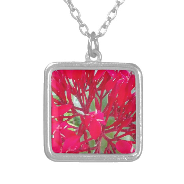 Beautiful Kaleidoscope of Colorful Red Milkweed  Silver Plated Necklace (Front)