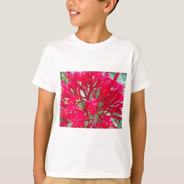 Beautiful Kaleidoscope of Colorful Red Milkweed  T-Shirt (Front)