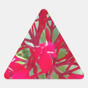 Beautiful Kaleidoscope of Colorful Red Milkweed  Triangle Sticker