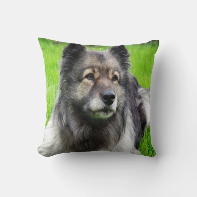 Beautiful Keeshond Throw Pillow (Front)