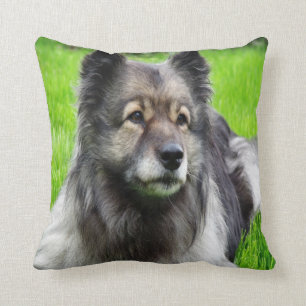 Beautiful Keeshond Throw Pillow