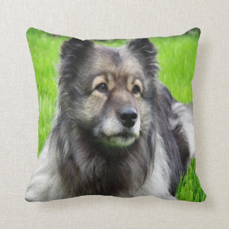Beautiful Keeshond Throw Pillow