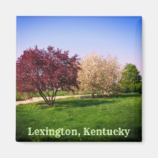 Beautiful Kentucky Landscape and Trees