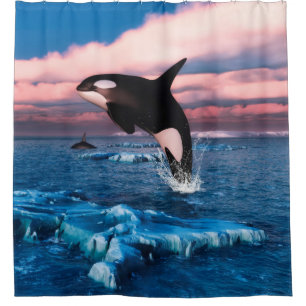 Beautiful Killer Whales In The Arctic Ocean Shower Curtain