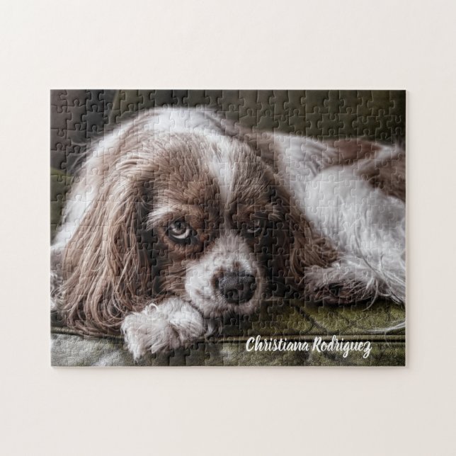 Beautiful King Charles Spaniel  Jigsaw Puzzle (Horizontal)