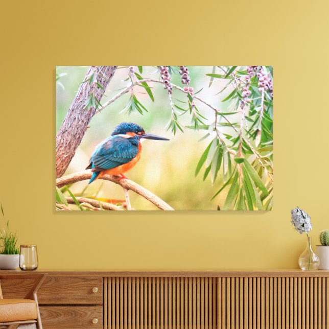 Beautiful Kingfisher Bird on a Tree Limb Canvas Print (Insitu(LivingRoom))