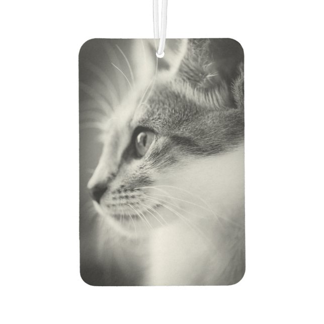 Beautiful Kitten Air Freshener (Back)