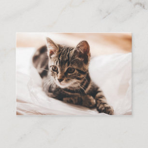 Beautiful Kitten Business Card