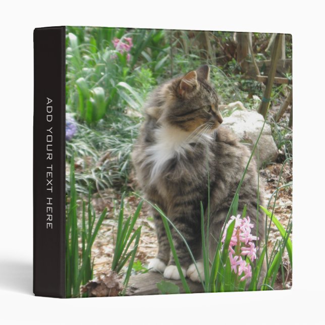 Beautiful Kitty Binder (Front/Spine)