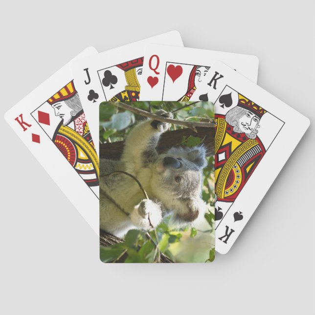 Beautiful Koala Bear in the Trees Poker Cards (Back)