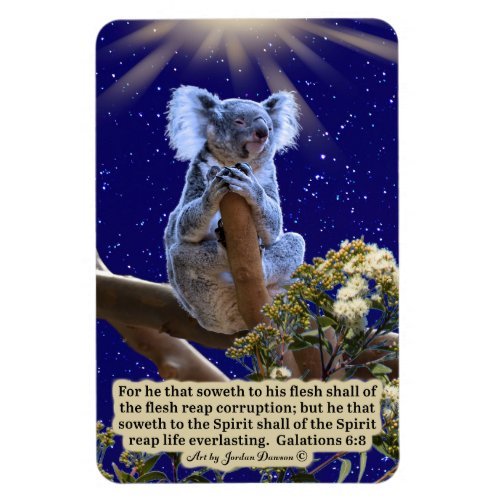 Beautiful Koala Scripture Magnet Galatians 68