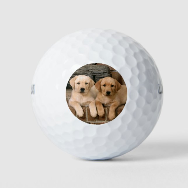 Beautiful lab puppys golf balls (Front)