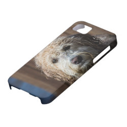 iphone 6 case labradoodle iphone 6 case labradoodle