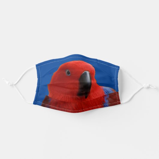 Beautiful "Lady in Red" Eclectus Parrot Adult Cloth Face Mask (Front, Unfolded)